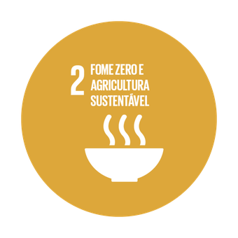 ODS 2 — Fome Zero e Agricultura Sustentável